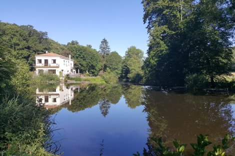 Randonnée à la demi-journée et journée - Chambon 3H